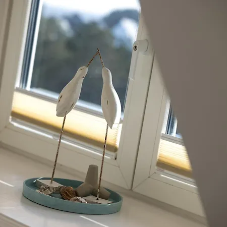 別荘 Haus Sonnenland *